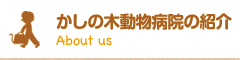 かしの木動物病院の紹介