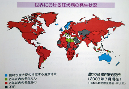 世界における狂犬病の発生状況