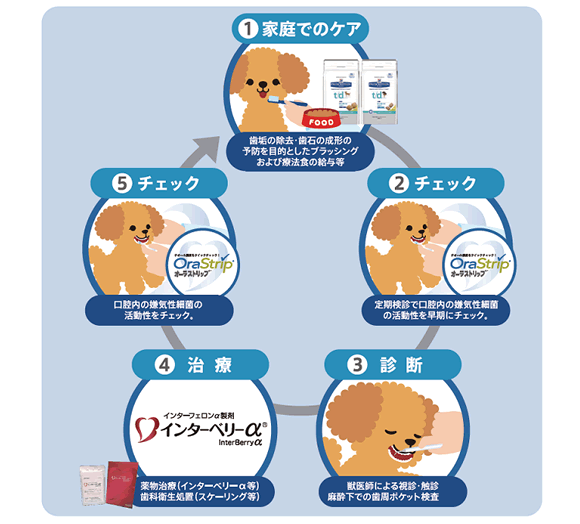 オーラルケアの考え方