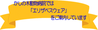 かしの木動物病院では「エリザベスウェア」をご案内しています