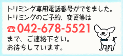 トリミング専用電話番号：042-678-5521