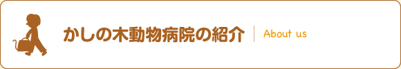 かしの木動物病院の紹介