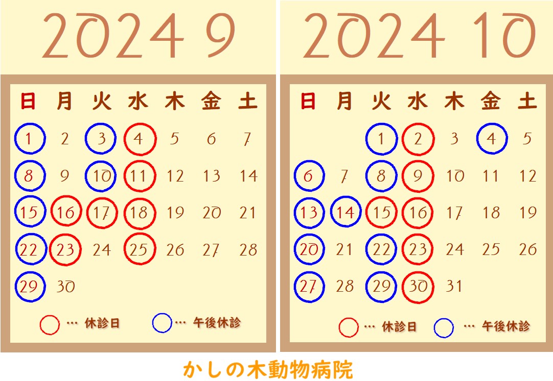 バレンタイン背景布【ハートC】サンプル ペット撮影用 トリミング