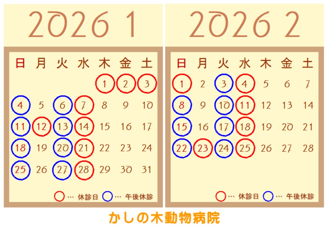 1月、2月休診日のご案内